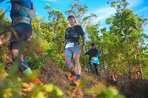 BIB: 2403, 244
                            <button type="button" onclick="openModal(21840677)" class="btn btn-primary btn-sm float-right btn-popup" data-toggle="modal" data-target=".modal-high-quality">
                        <i class="fas fa-shopping-cart"></i> Add to Cart
                    </button>
                                            <button type="button" onclick="isThisMe(21840677, true)" class="btn btn-success btn-sm float-right btn-popup btn-isme hidden" data-toggle="tooltip" data-placement="bottom" title="นี่คือรูปของคุณใช่ไหม คลิกที่นี่เพื่อเอาเข้าอัลบั้ม">
                        <i class="fas fa-plus"></i> Add to album
                    </button>
                    <button type="button" onclick="isThisMe(21840677, false)" class="btn btn-warning btn-sm float-right btn-popup btn-isnotme hidden">
                        <i class="fas fa-ban"></i> Remove from album
                    </button>